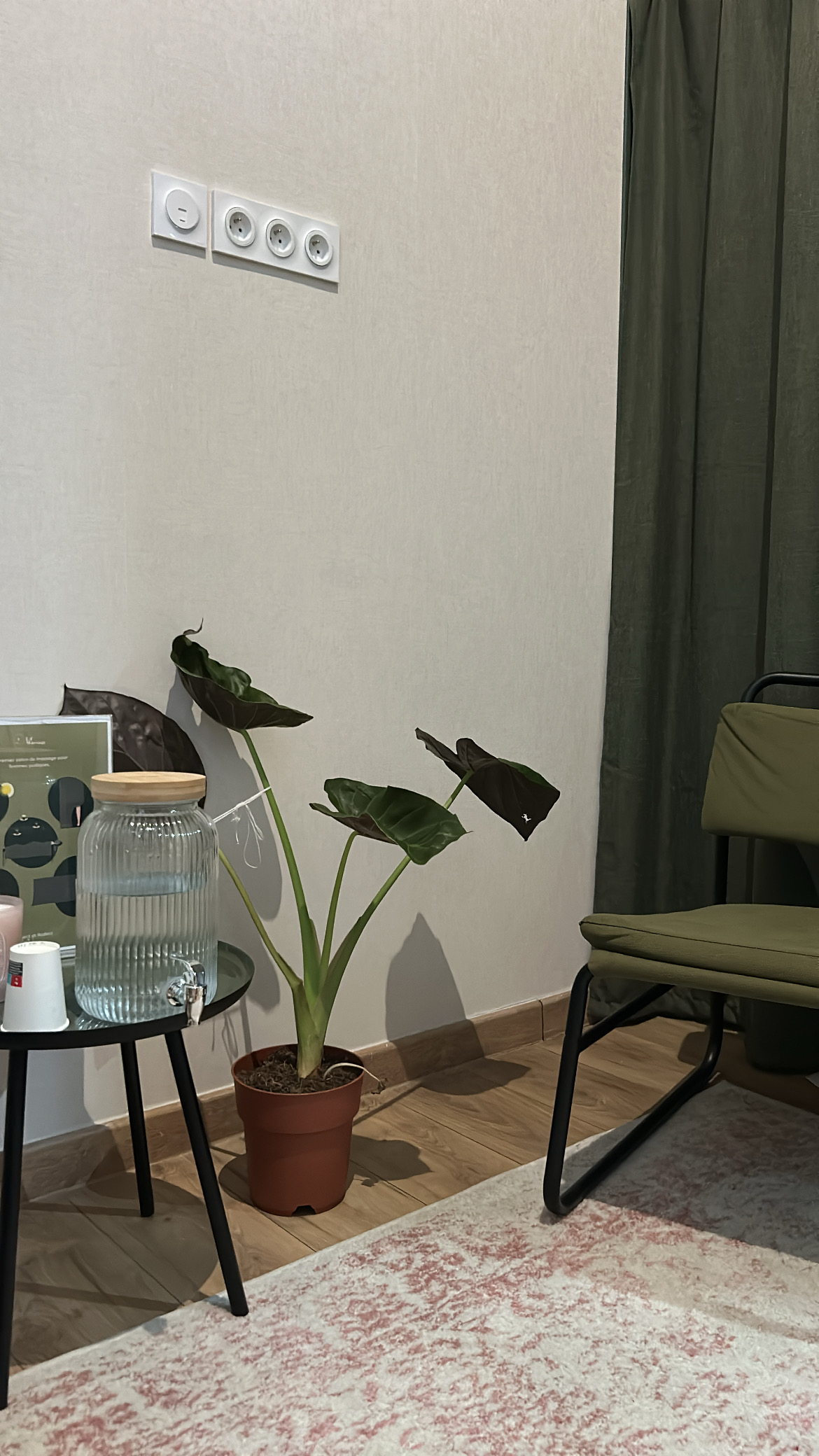 Photo numéro 4 de la galerie de Donia Ghribi : Masseur bien-être à Villeurbanne. Prendre RDV