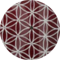  Martine   Lacoste  ,  à Lyon